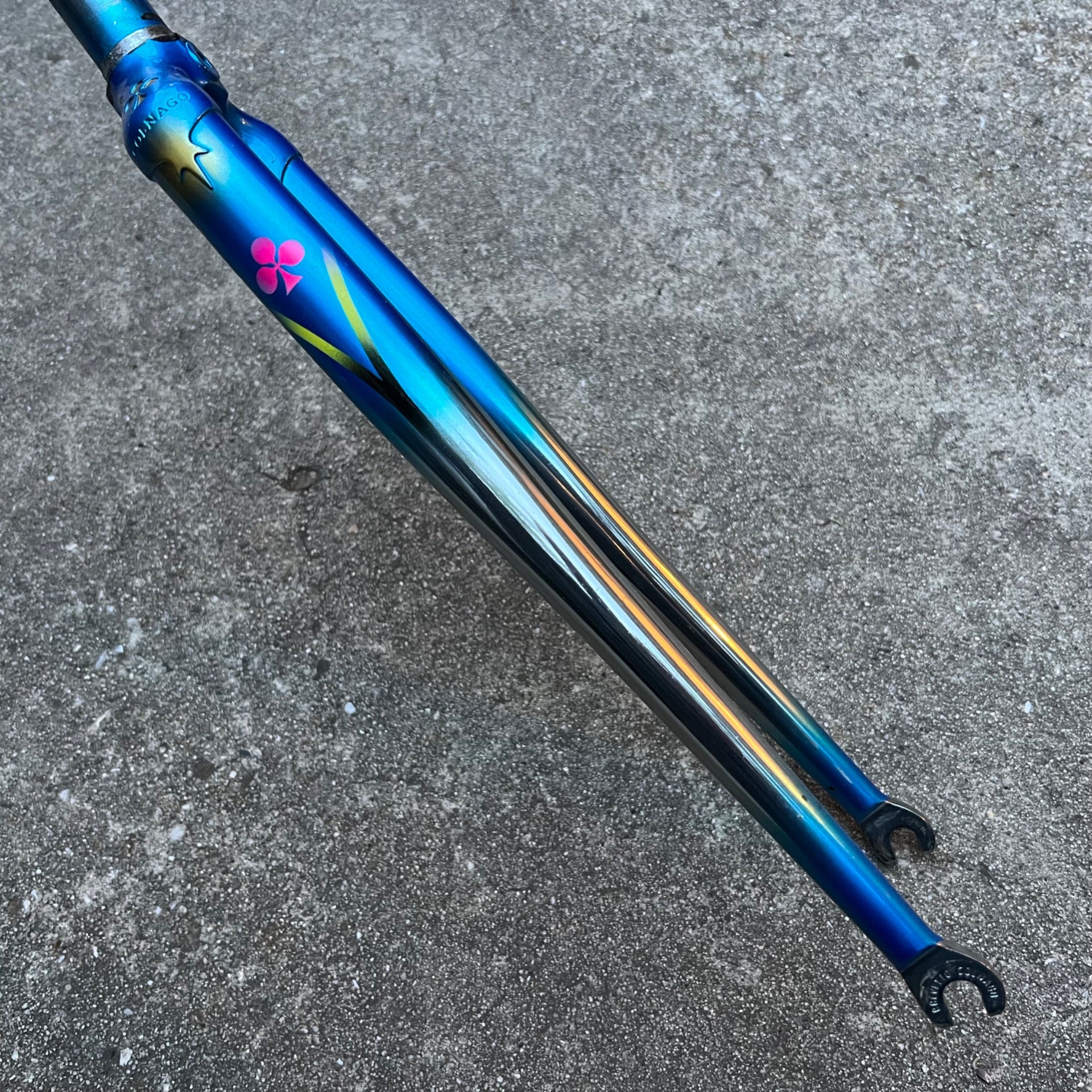 Colnago Chrome Blue Rigid Fork Road Bike Steel Vintage Retro Shamrock Logo 1in 