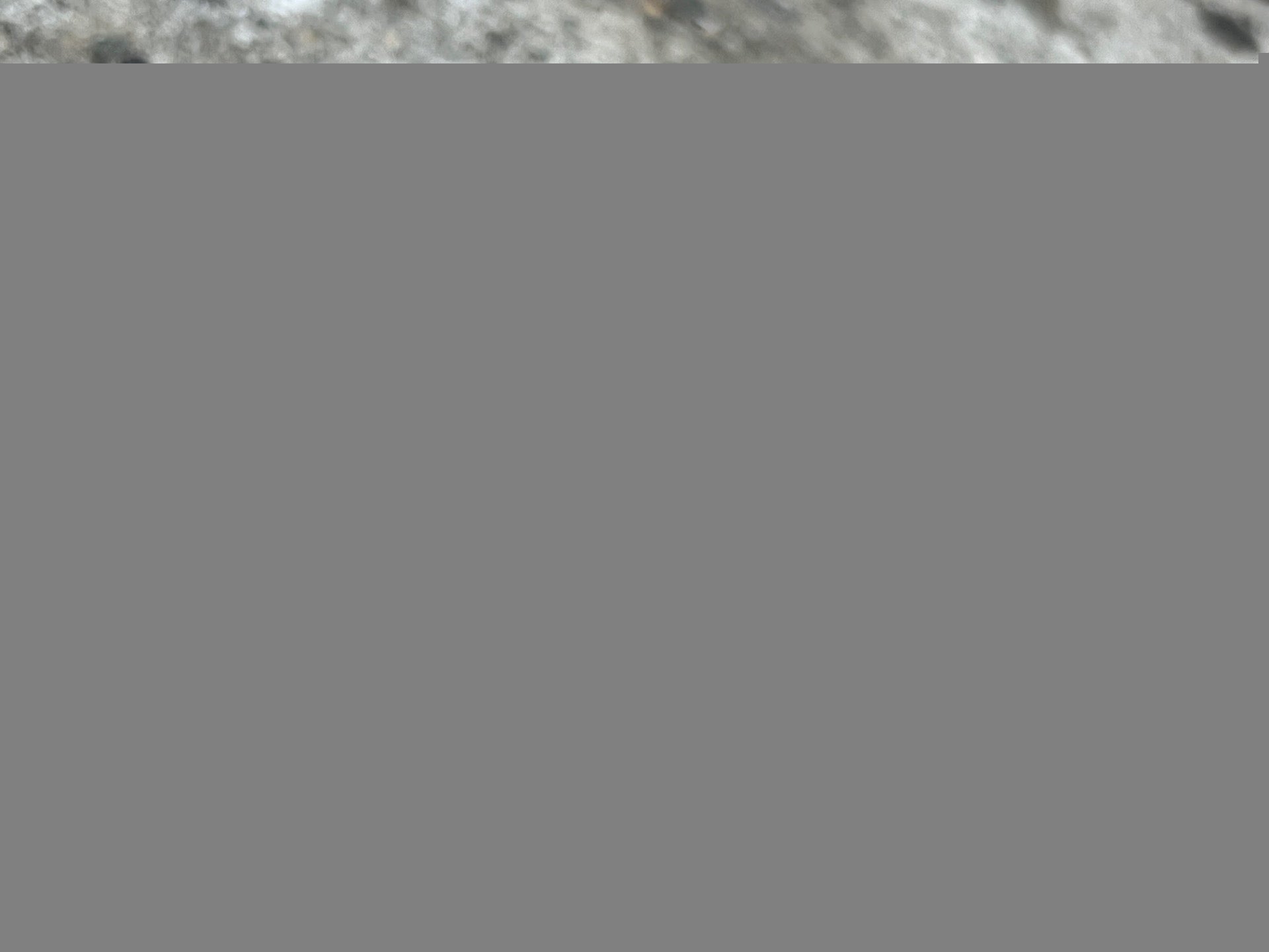 Shimano 600 1” Threaded Headset Silver Vintage Road Bike Aluminum Gray Touring  - Image 2
