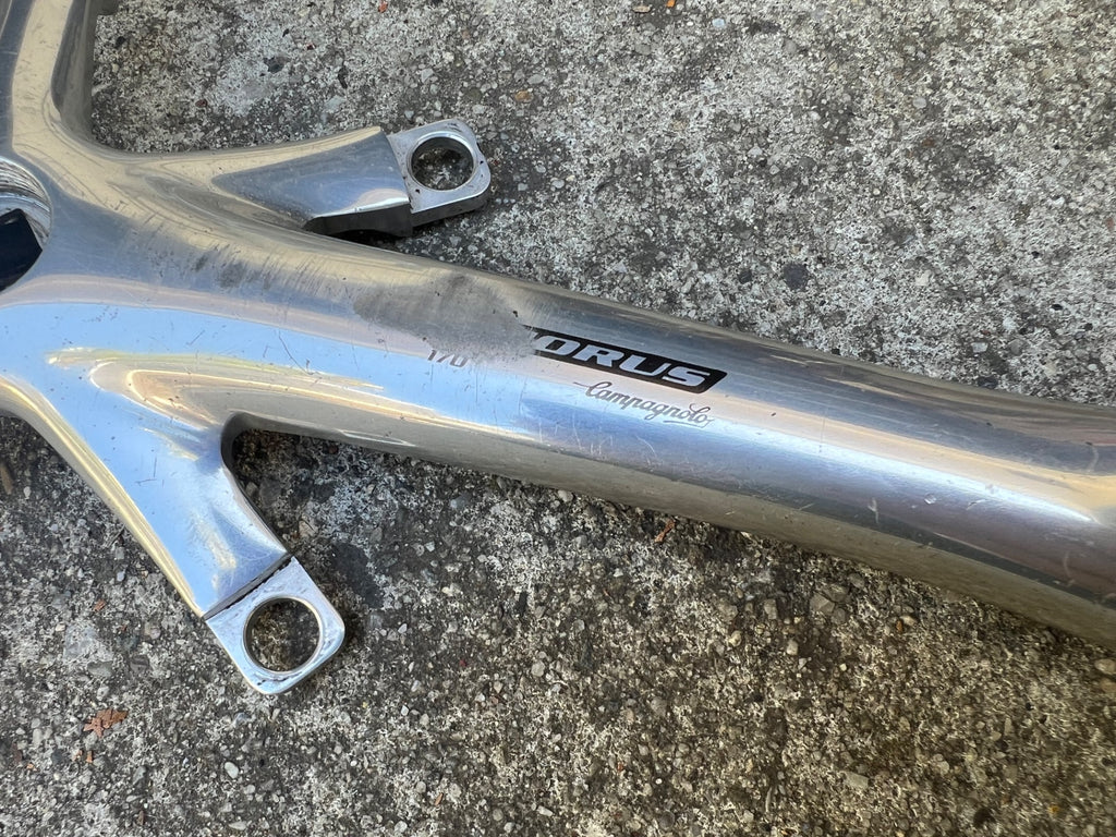 Used Campagnolo Chorus 170mm Crankset 135 BCD Vintage Road Bike Silver Aluminum Alloy-Bicycle Bin