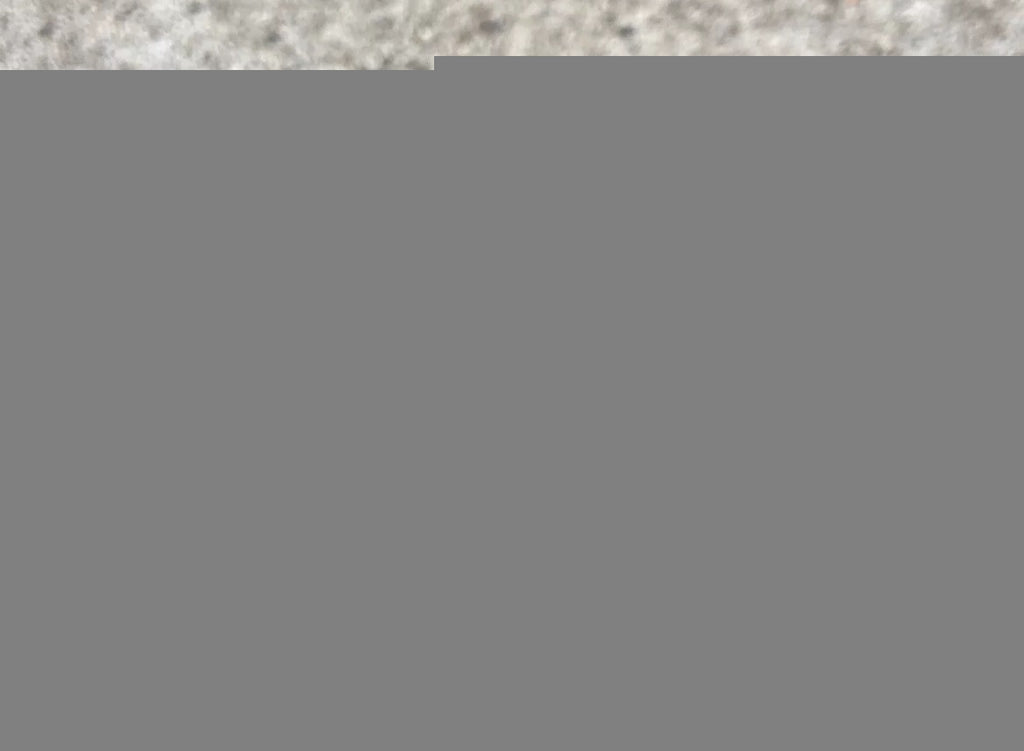 SINGLE LEFT Speedplay Frog Pedal Clipless Vintage Retro MTB Gravel Stainless - Image 3