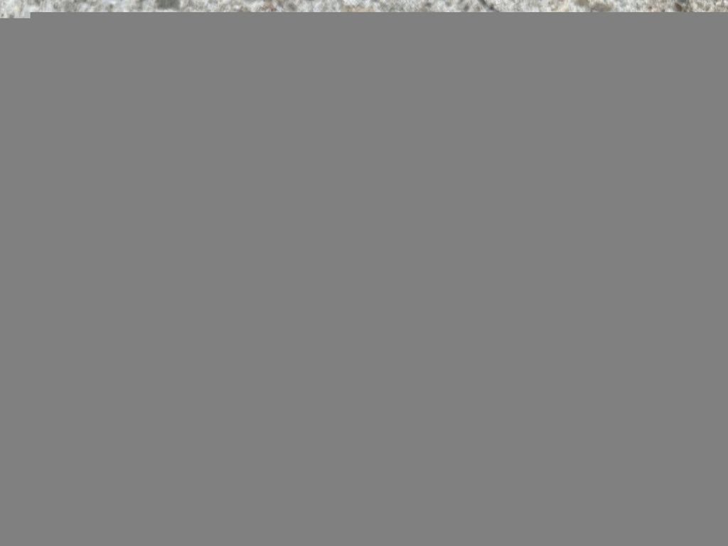 Shimano Ultegra WH-6600 8-10 Speed Hyperglide 130mm Rear Hub Road Bike Silver  - Image 4