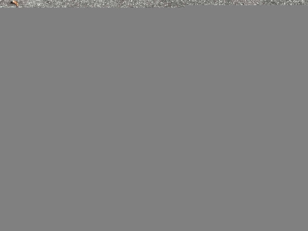 Win 25.4x100mm 1in Quill Stem Vintage Road Touring Bike 22.2 Silver Gray  - Image 9