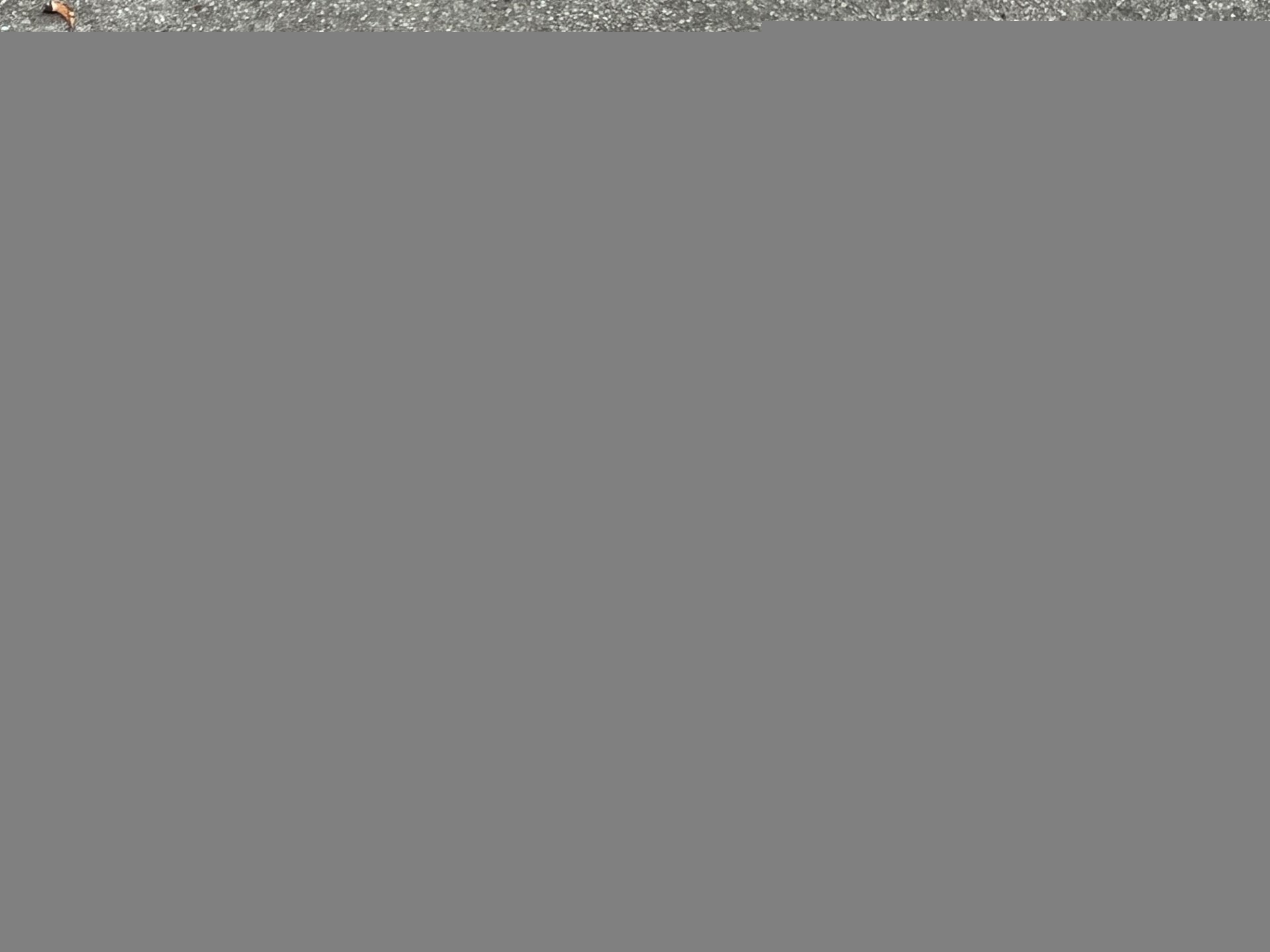 Win 25.4x100mm 1in Quill Stem Vintage Road Touring Bike 22.2 Silver Gray  - Image 9
